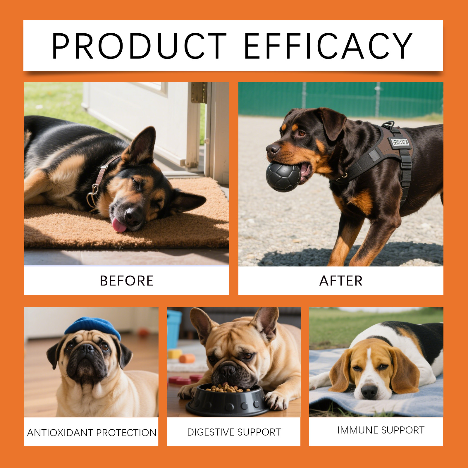 Dog Herbal Drops - Irresistibl - Herbal Wellness Drops review and price
