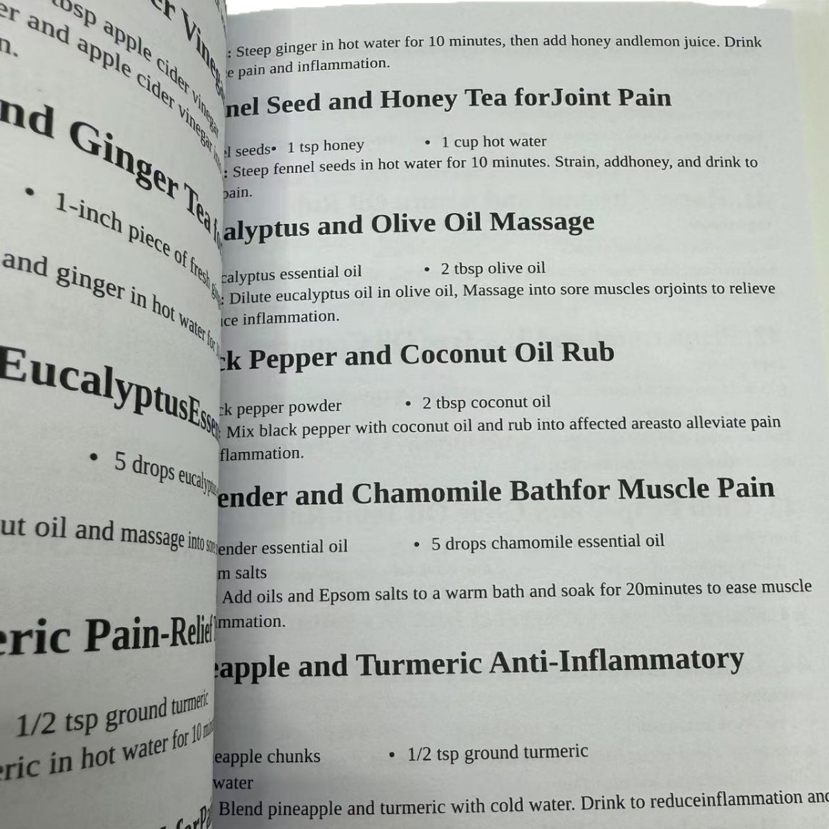 1000 FORGOTTEN REMEDIES The Ho - Herbal Wellness Solutions review and price